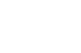 Void Effects Logo
